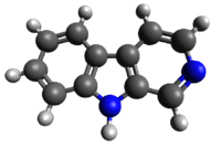 The prototype of a class of compounds known as  β-carbolines