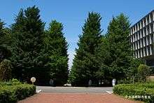 Same street, with trees leafed out