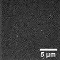 File:FluorescentSingleMoleculesPhotoActivation.ogg