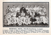 The 1911 Memphis Turtles