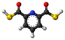 Ball-and-stick model of the 2,6-pyridinedicarbothioic acid molecule