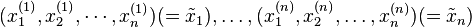 (x_1^{(1)}, x_2 ^{(1)}, \cdots, x_n ^{(1)})(=\tilde{x}_1), \ldots, (x_1^{(n)}, x_2 ^{(n)}, \ldots, x_n^{(n)})(=\tilde{x}_n)