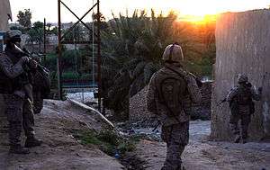 A squad of Marines patrolling through houses and palms trees with a river in the background.