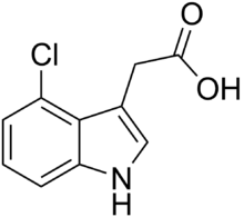 Skeletal structure diagram