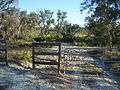 A D Broussard Preserve SP path01.jpg