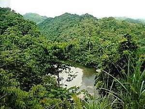 Tall green trees and hills are on both sides of a river in the center.