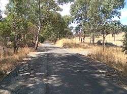 bikeway with trees and paddock in summer