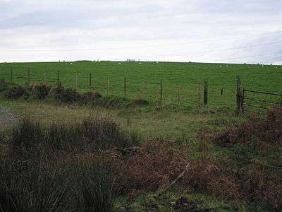 Ancient mounds - geograph.org.uk - 1010269.jpg