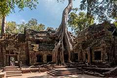 Ta Prohm