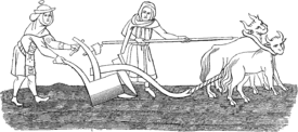 A crude medieval line drawing, showing a man with a team of two oxen ploughing a field, assisted by a woman. Both the man and woman are dressed in long medieval cloths.