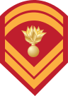 Insignia of a permanent Hellenic Land Army Sergeant.