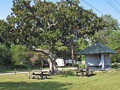 Audubon Trolley Station