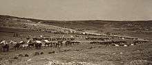 A wide angle view of an encampment on a hill, there are horses in the foreground and light coloured tents