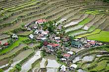 A village in the Batad rice terraces