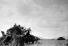 Tanks covered in branches and scrim