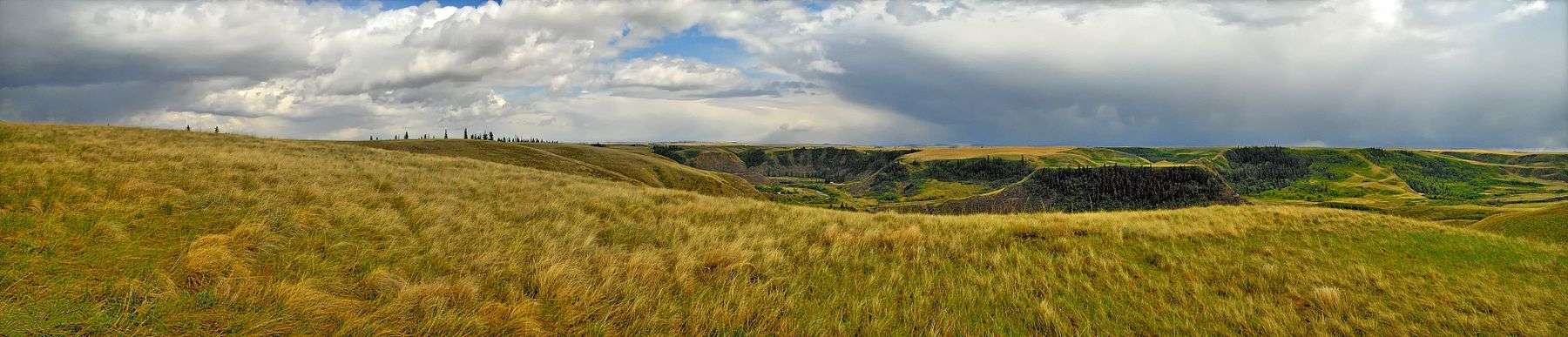 Panorama of Beynon, Alberta, Canada