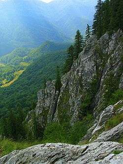 Apuseni Mountains