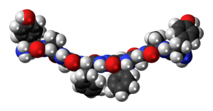 Space-filling model of Biphalin