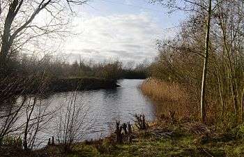 Bromham Lake