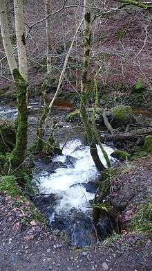 Looking down on foamy water coming under track framed with mossy bare tracks