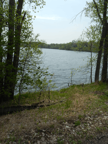 Waves flow across the blue surface of a tree-encircled lake, visible in a shoreline break in the treeline.