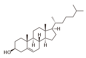 Chemical structure of cholesterol