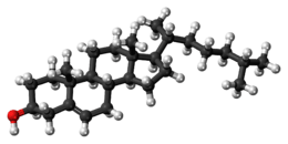 Ball-and-stick model of cholesterol