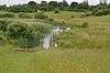 Church Lane Flood Meadow