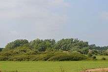 Clacton Cliffs and Foreshore