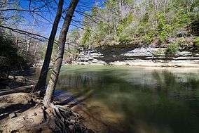 A photo of Clear Creek in early spring in William B. Bankhead National Forest