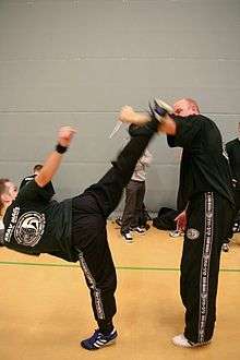 Krav Maga training