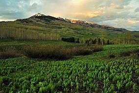 Mountains in spring along the Copper Lake Trail near Crested Butte.