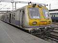 Delhi emu 08.JPG