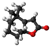 Ball-and-stick model of the dihydroactinidiolide molecule