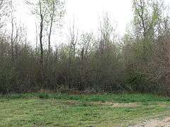 Dogtooth Bend Mounds and Village Site