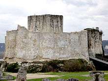 A tall pale grey wall around an enclosure and surrounded by a ditch. A modern metal bridge leads up to the entrance between two towers in the wall. A square stone tower rises above the wall.