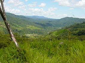 Forested mountain landscape.