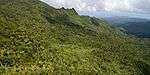 Forested mountainsides in El Yunque.