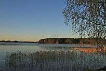 View of the fjärd with the base of a forest and the first plain of the humid zones