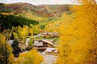 photograph of the campus in autumn