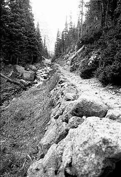 Fern Lake Trail