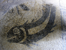 Detail of the mosaic floor in the cold room of the bath house.