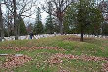 Forest Hill Cemetery Mound Group