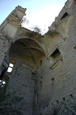 France Loir-et-Cher Lavardin chateau donjon 02.JPG