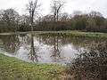 Barn Hill Pond in Fryent Country Park