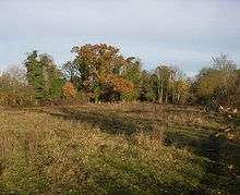 Fulbourn Fen