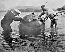 Two sailors examine a spherical naval contact mine in shallow water.