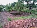 Gandhamardan Bauxite Test pit on hill top