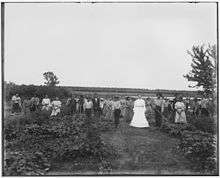 A few dozen students work with gardening tools in a leafy field