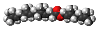 Space-filling model